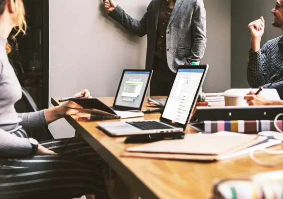 Expert Consultation & Optimization